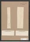 Pleurosigma clevei Grun. (de-Toni-Nr.: Genus 13, Species 1012) Zeichnungen Sammlung Grunow Nr. 2070 (NHMW-BOT-W0368932)